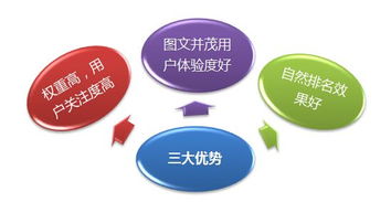 承德網站網絡推廣新篇章 專業網絡科技服務助力企業騰飛