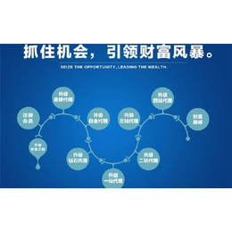 永定網絡推廣新篇章 工廠如何借力網加科技實現高效推廣