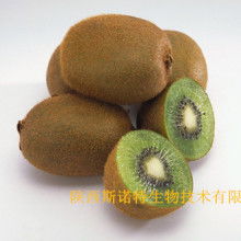寶雞市特產(chǎn)銷售行業(yè)協(xié)會 領(lǐng)航獼猴桃產(chǎn)業(yè)，打造“金果”新名片