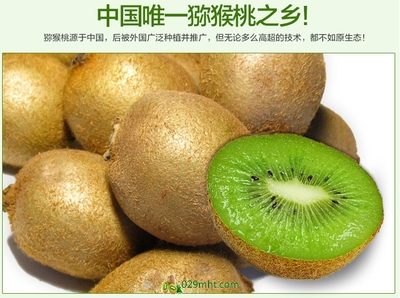 【預售開啟】2015年度優(yōu)質(zhì)徐香獼猴桃，邀您搶先品嘗金秋碩果