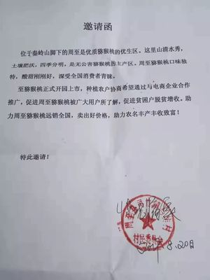 愛心傳遞周至 40萬斤獼猴桃滯銷待援，無聲老人與留守兒童的期盼