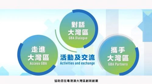 粵港澳大灣區青年創業線上交流會在穗舉行 聚焦信息技術咨詢服務發展